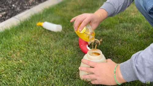 Homemade Lawn Fertilizers That Are Safe