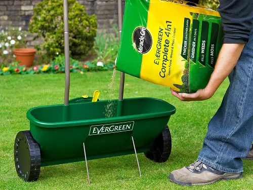 How Important is Lawn Food