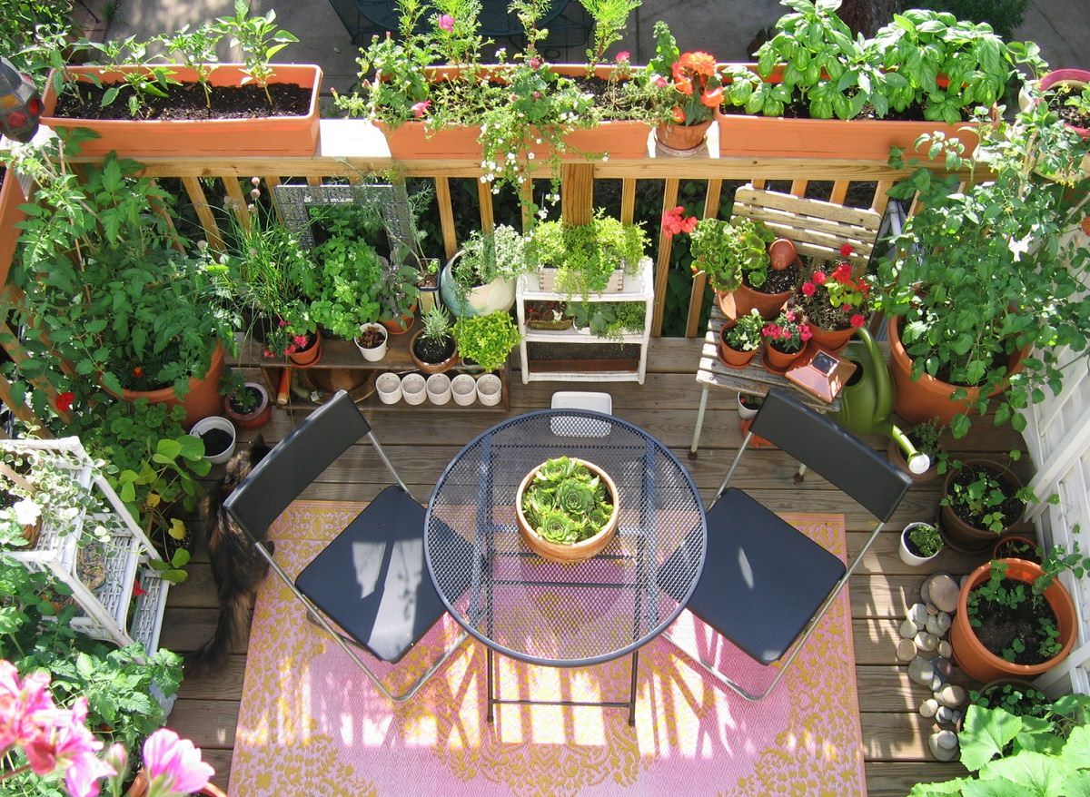 11 deck vegetable garden ideas to grow more in less space | balcony