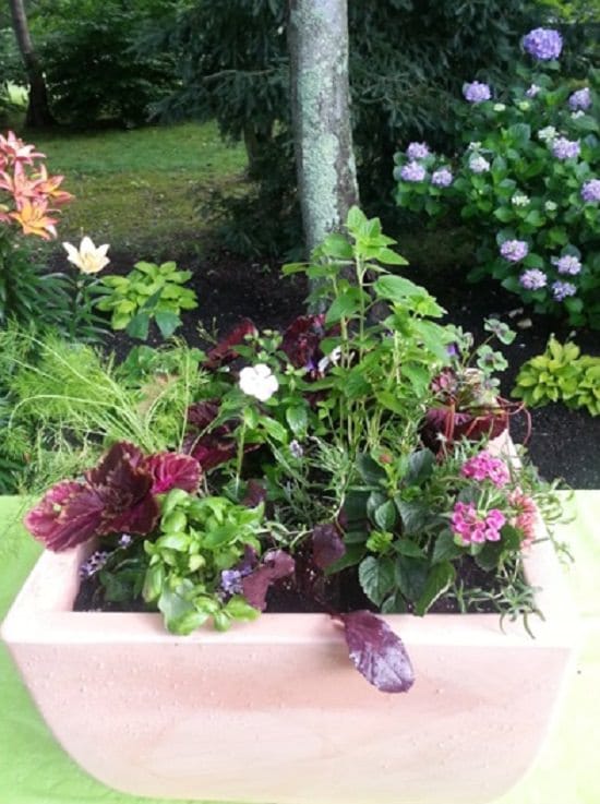 33 Best Container Herb Garden Combinations For Flavor & Aroma Balcony