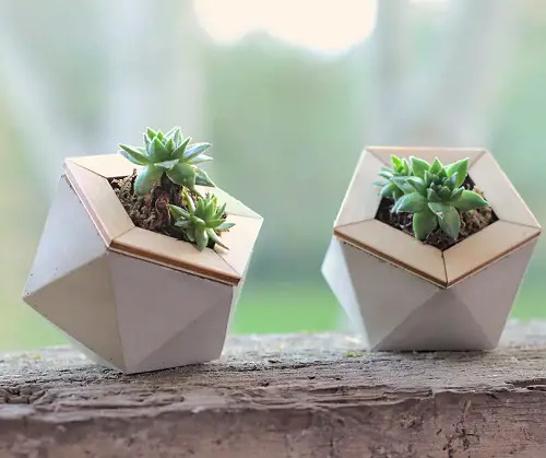 Stunning Geometric Planters Ideas