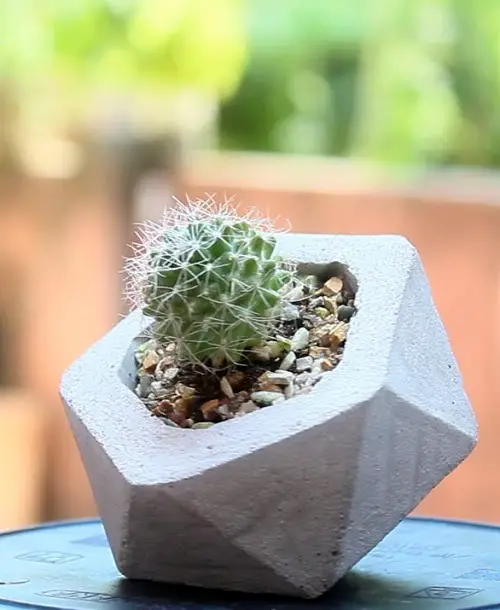 Geometric Hexagon Hanging Planters 4