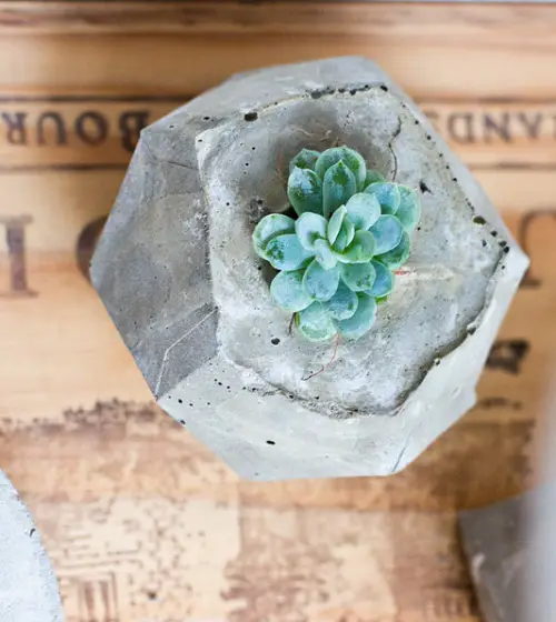 Geometric Hanging Planters 4