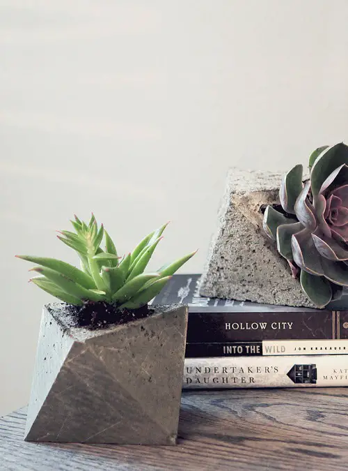 DIY Geometric Planters That Are Trendy & Modern
