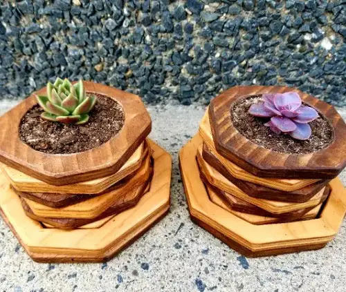 Stunning Geometric Planters Ideas 6