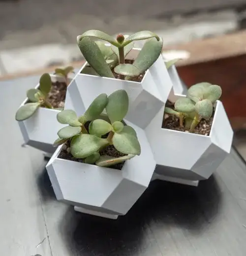 Geometric Hanging Planters 3