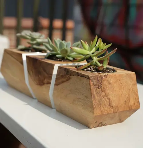 DIY Geometric Planters That Are Trendy & Modern 4