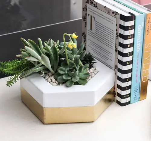 Scrap Wood Hexagon Planter