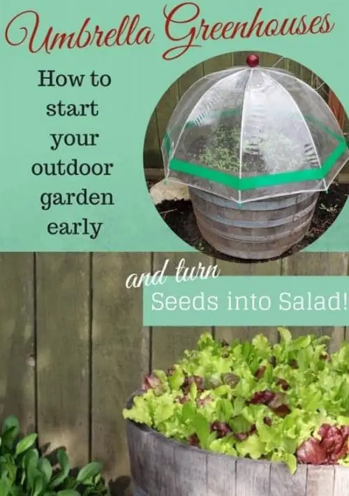 Smart Gardening Hacks For Beginners