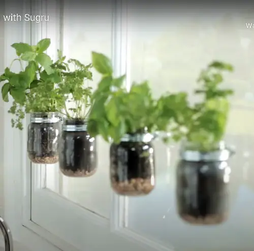 Hanging Mason Jar Herb Garden