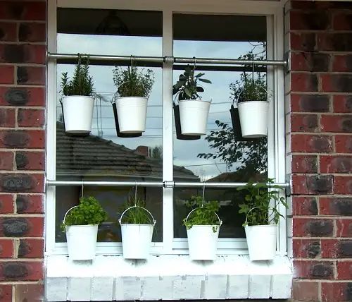 Hanging Herb Planter on Window