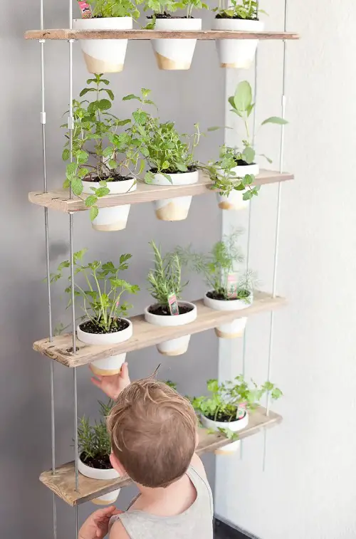 Potted Indoor Herb Garden Hanging