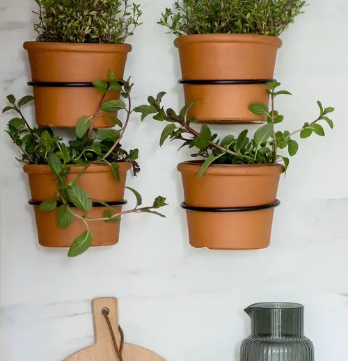 Easy Indoor Herb Garden Wall