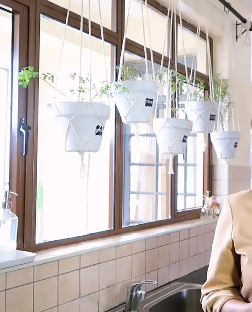 DIY Gardens Window Herb Hanging Basket