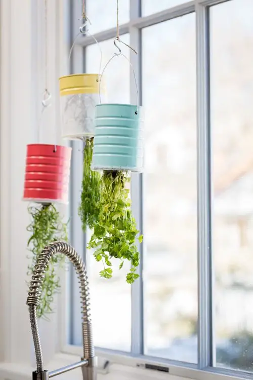 Upside Down Hanging Herb Garden in Tin Cans