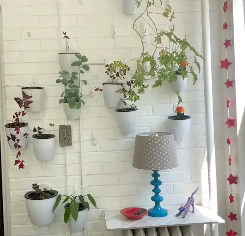 Indoor Hanging Herb Garden Wall