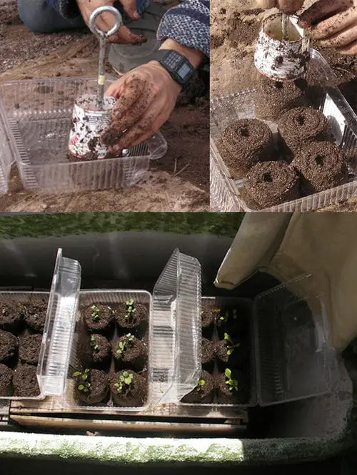 Cheap DIY Seed Starter Soil Blocks