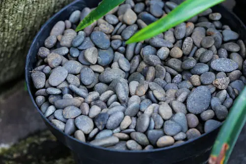Should You Add Gravels to Pots? 1