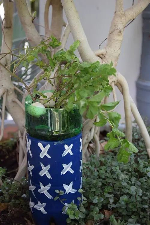 Garden Ideas on a Budget Install Self-Watering Device Using Old Bottles