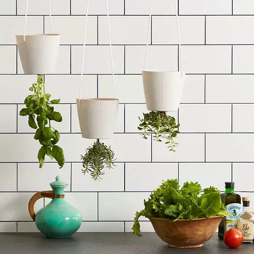 Upside Down Kitchen Herb Garden