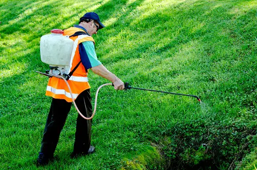 Lawn Care Tips Keep the Pests Away