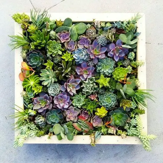 Vertical Wall Planter