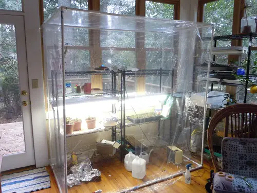 DIY PVC Pipe Greenhouse