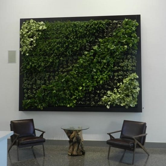 How to Create a Living Wall at Home