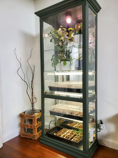 Indoor Greenhouse Shelf With Light