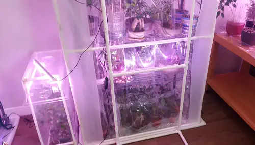 Indoor Greenhouse Using Plastic Sheets