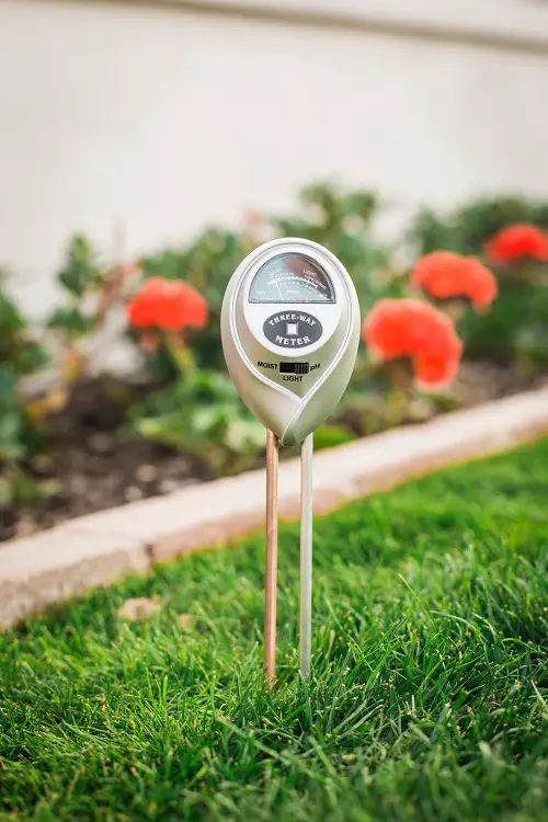 Check the Soil pH