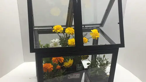 Budget-Friendly Dollar Store Greenhouse