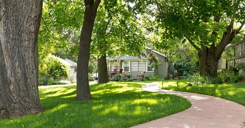Lawn Care Tips Take Care of the Sunshine!