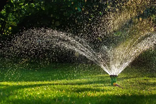 Be Careful with Watering in lawn tip