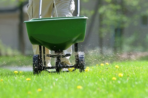 Lawn Care Tips Fertilize to Keep it Thriving