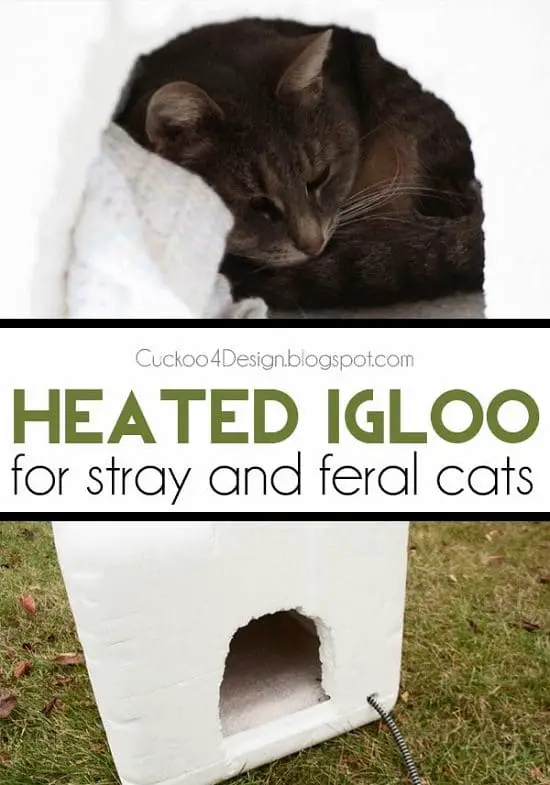 DIY Outdoor Cat House Ideas-Heated Igloo Shelter