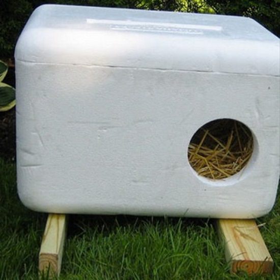 Shelter Bin for Cats