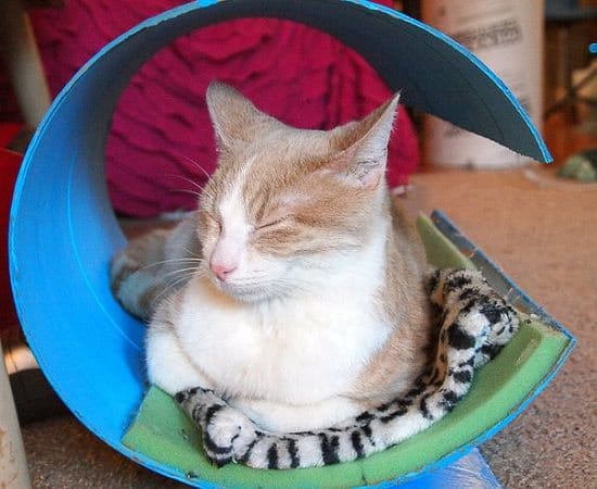 diy cat house-Quick and Easy