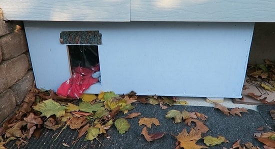 DIY Outdoor Cat House Ideas- Outdoor Cat House for Stray Cats