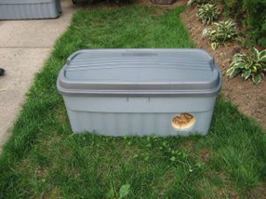 feral cat shelter