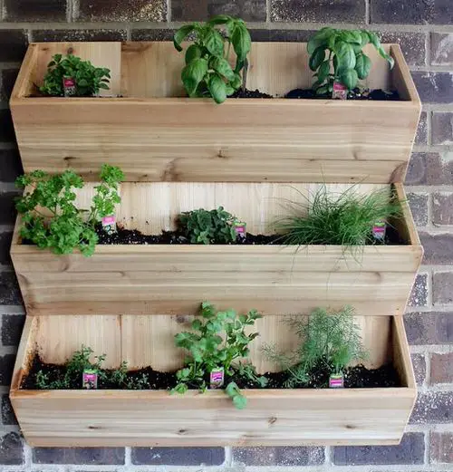 Cedar Herb Planter