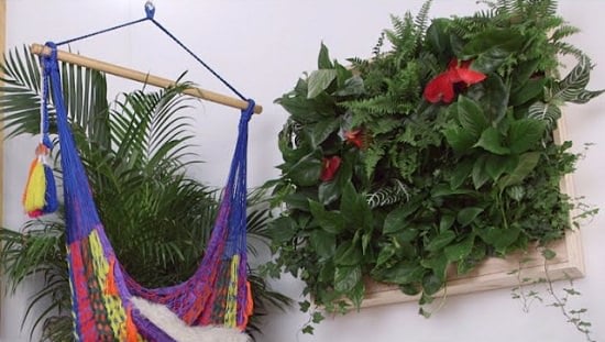 Jungle Style Plant Wall