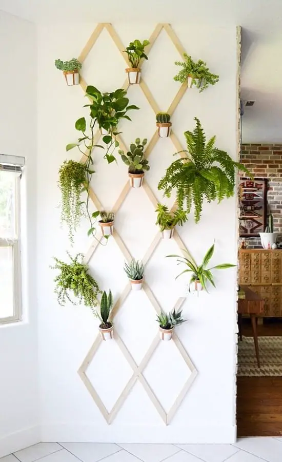Trellis Plant Wall