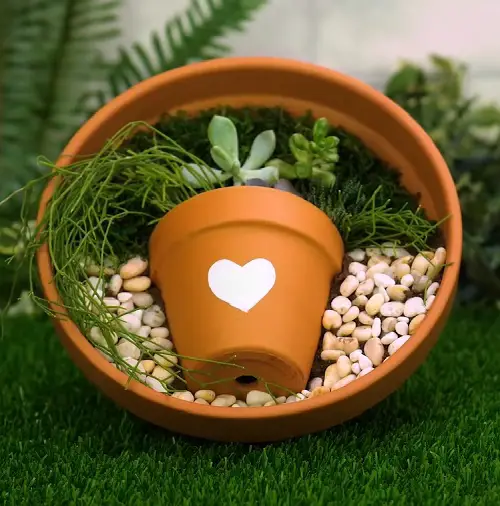 Best Succulent Gift 31