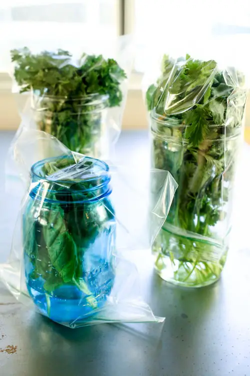 Get enough place to store herbs