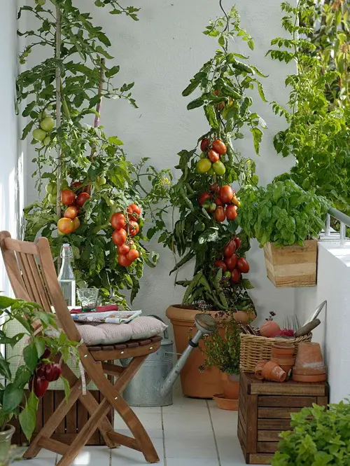 Create a nice seating area in your herb garden