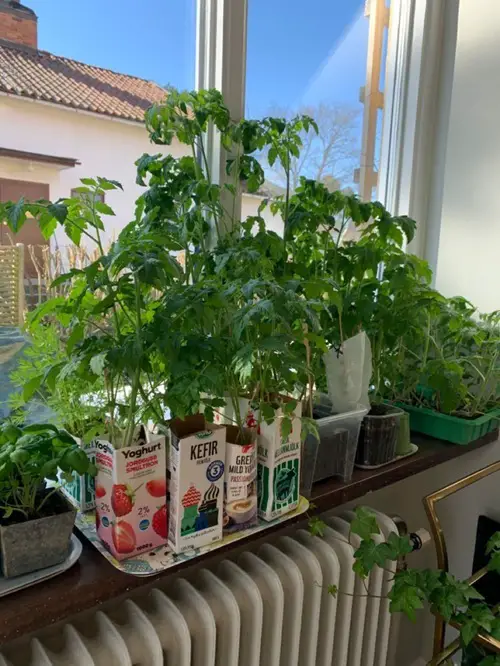 Choose herbs that you like and use most
