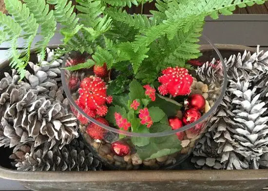 Make your own Christmas terrarium