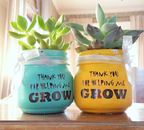 best Gift Ideas for Succulent Lovers