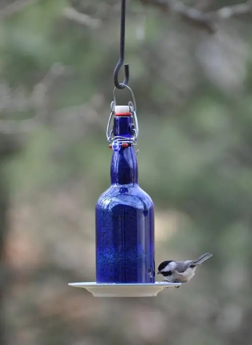 Diy Wine Bottle Feeder with Dish